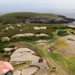 montague island view