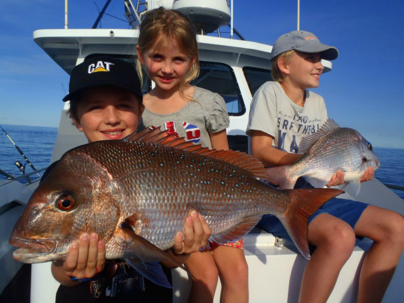 snapper caught in narooma